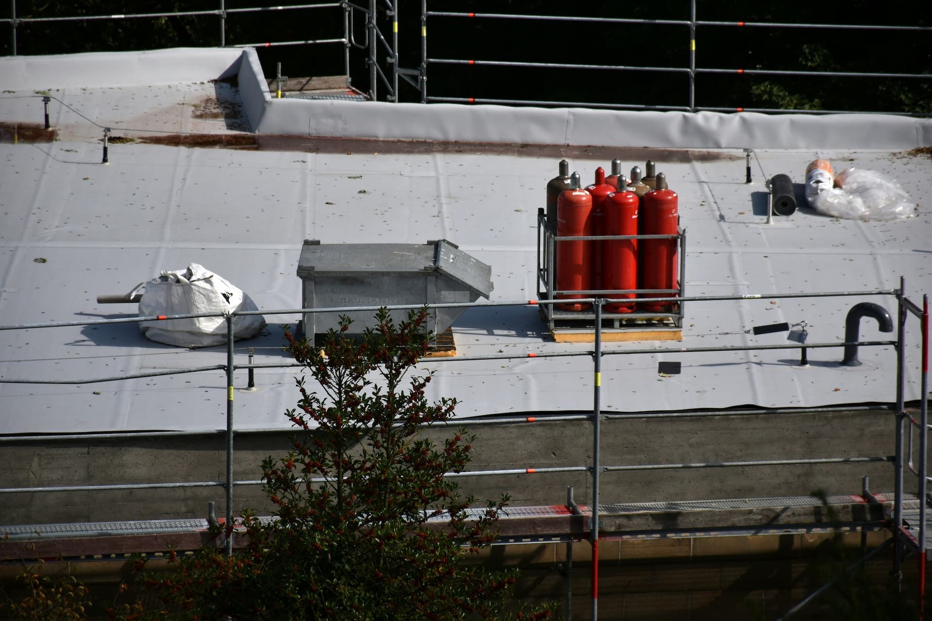 ries-bosch-ADMFI4SMw4I-unsplash (1).jpg